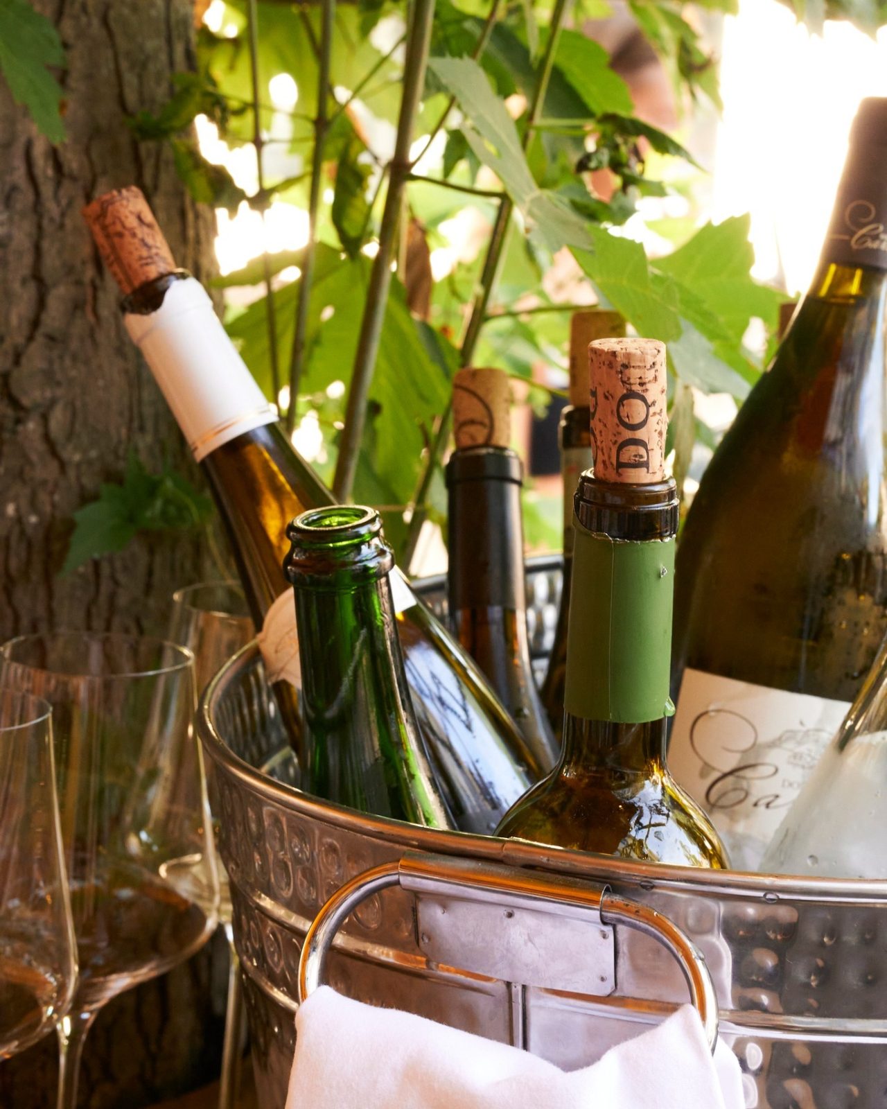 Bottles of wine in a cooler on a table at Salut on Gerard Douplein in Amsterdam